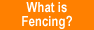 What is Fencing?