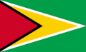 Guyana flag